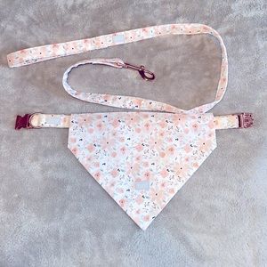 Set of dog collar, bandana and leash